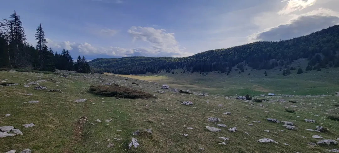 Vue de la prairie de Darbounouse 