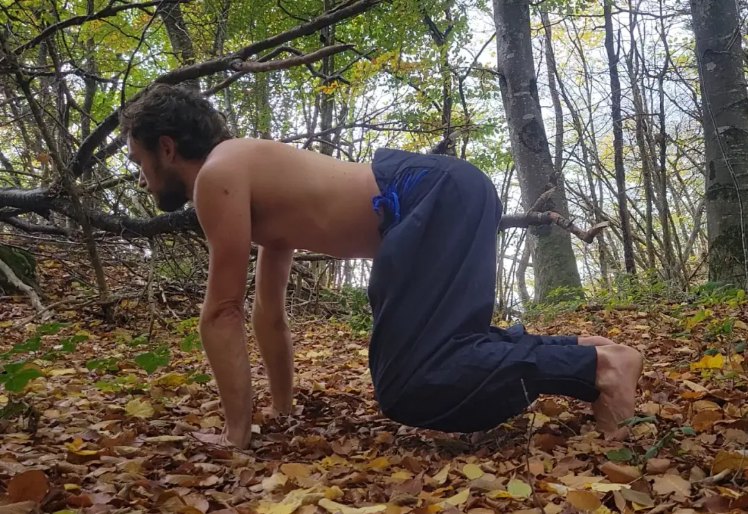 Quadrupédie statique dans le bois du Ratz
