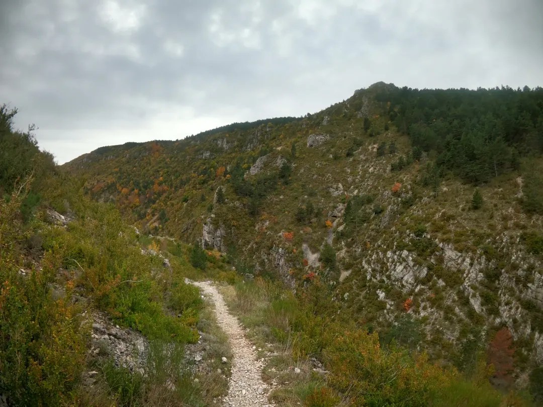 Vue sur les sentiers de l'UTMC OFF